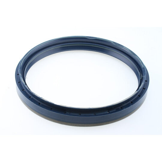 01036913B Seal Ring, spring link