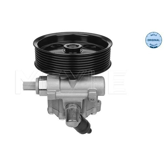014 631 0014 Hydraulic Pump, steering system