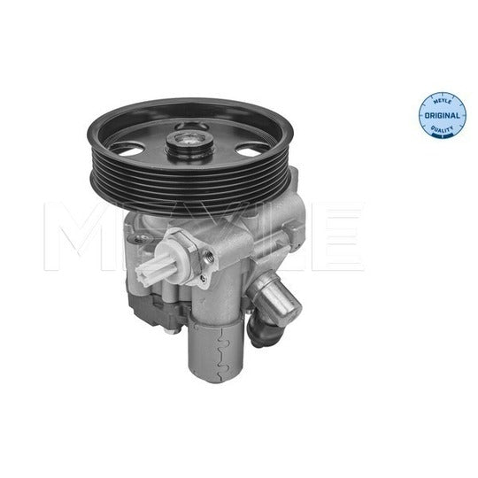014 631 0029 Hydraulic Pump, steering system