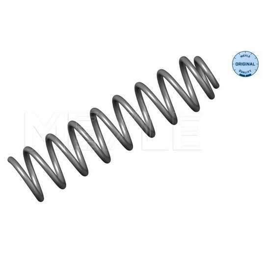 014 639 0005 Coil Spring