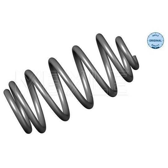 014 739 0008 Coil Spring
