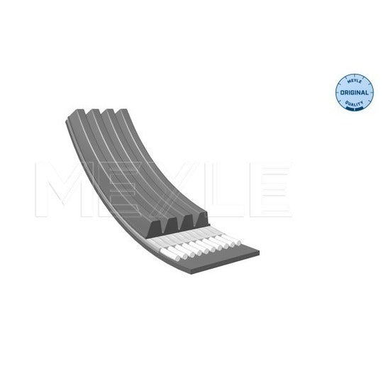 050 004 1485 V-Ribbed Belt