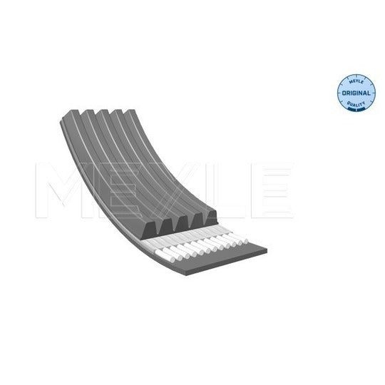 050 005 1750 V-Ribbed Belt