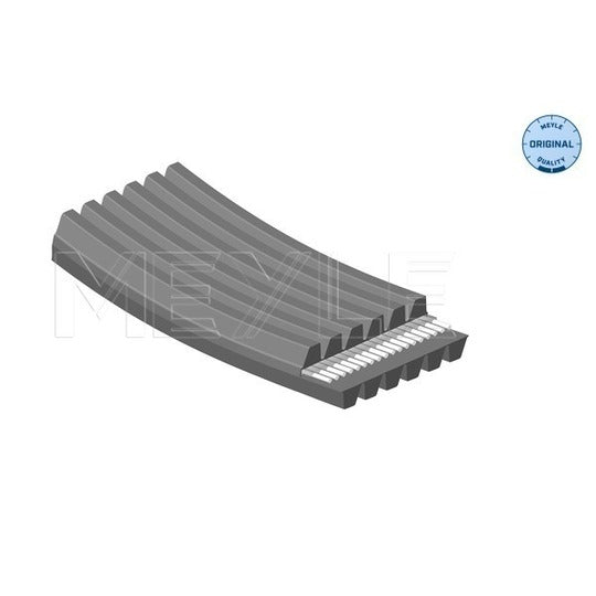050 006 1825/D V-Ribbed Belt