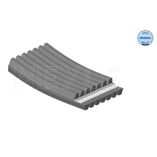 050 007 2074/D V-Ribbed Belt