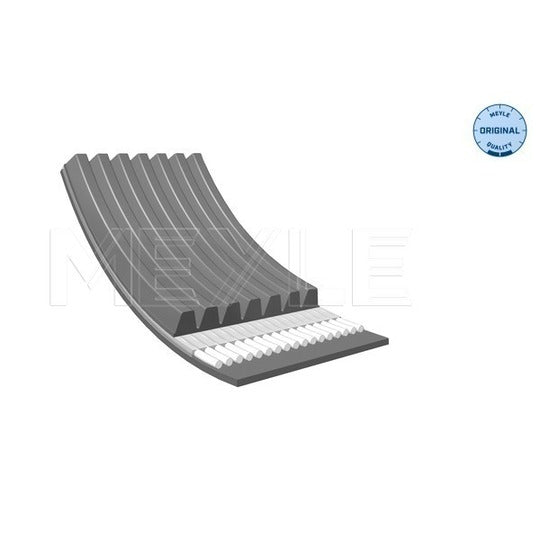 050 007 2875 V-Ribbed Belt