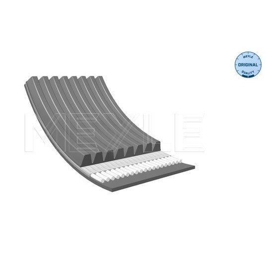 050 008 1230 V-Ribbed Belt