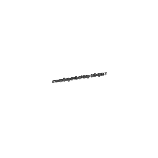05519 Camshaft
