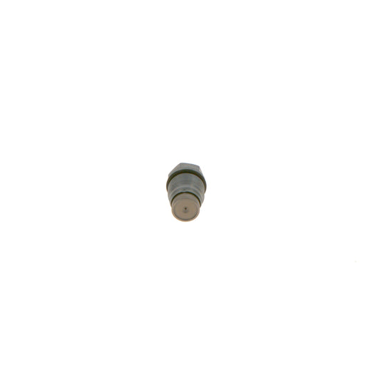 1 110 010 023 Pressure Relief Valve, common rail system
