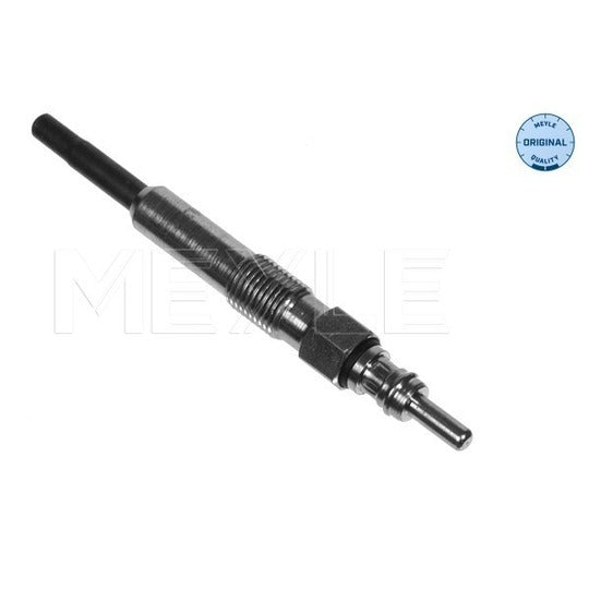 100 020 2022 Glow Plug