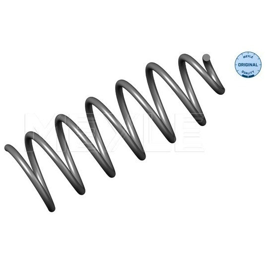 100 041 0001 Coil Spring