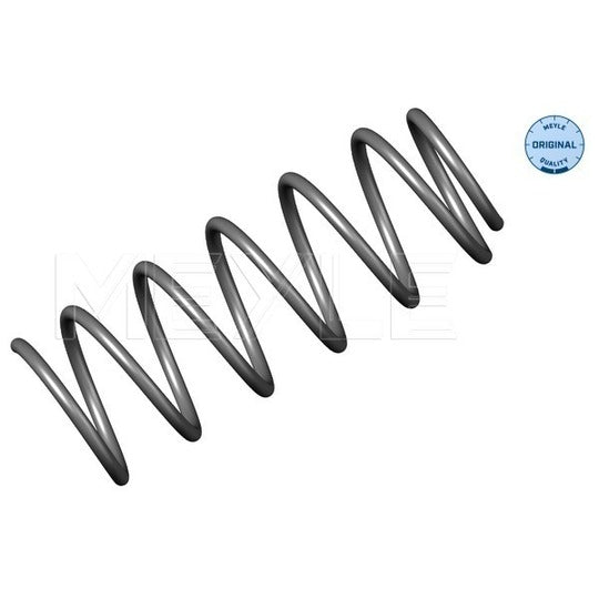 100 041 0002 Coil Spring