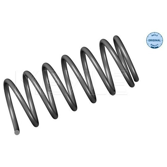 100 041 0003 Coil Spring