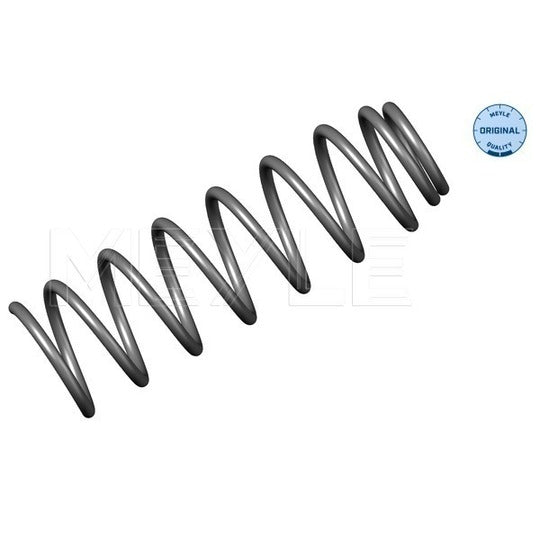 100 051 0002 Coil Spring