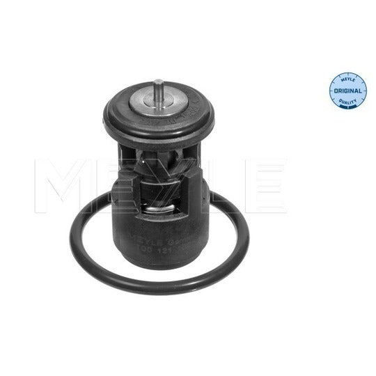 100 121 1025 Thermostat, coolant