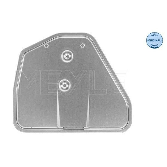 100 136 0011 Hydraulic Filter, automatic transmission