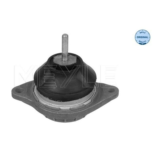 100 199 0017 Engine Mounting
