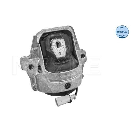 100 199 1006 Engine Mounting
