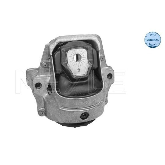 100 199 1010 Engine Mounting
