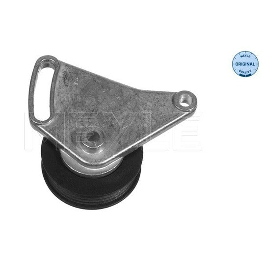 100 260 0001 Tensioner Pulley, v-ribbed belt