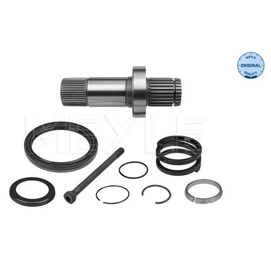 100 498 0242 Stub Axle, differential
