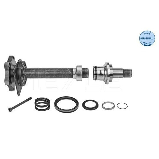 100 498 0244/S Stub Axle, differential
