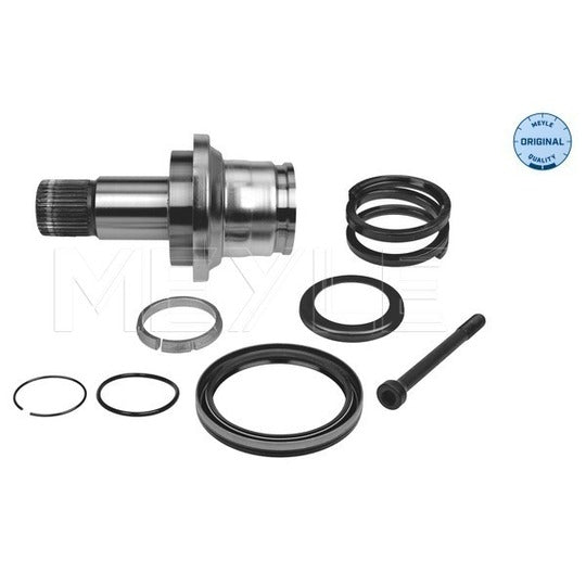 100 498 0244 Stub Axle, differential