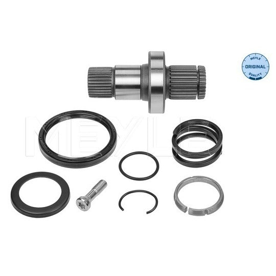 100 498 0245 Stub Axle, differential