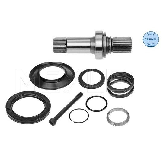 100 498 0248 Stub Axle, differential