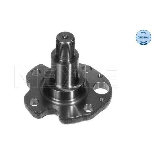 100 501 0029 Stub Axle, wheel suspension