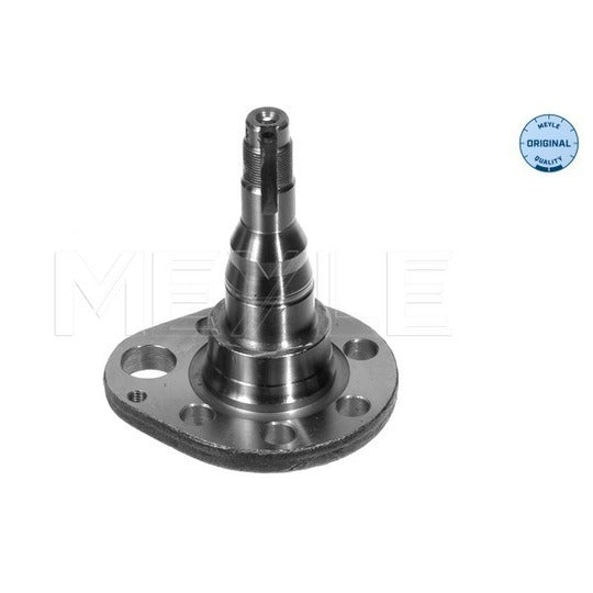 100 501 0036 Stub Axle, wheel suspension