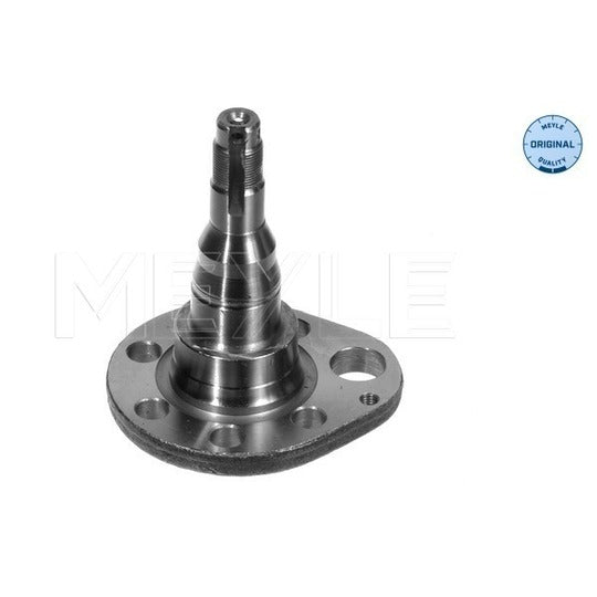 100 501 0037 Stub Axle, wheel suspension