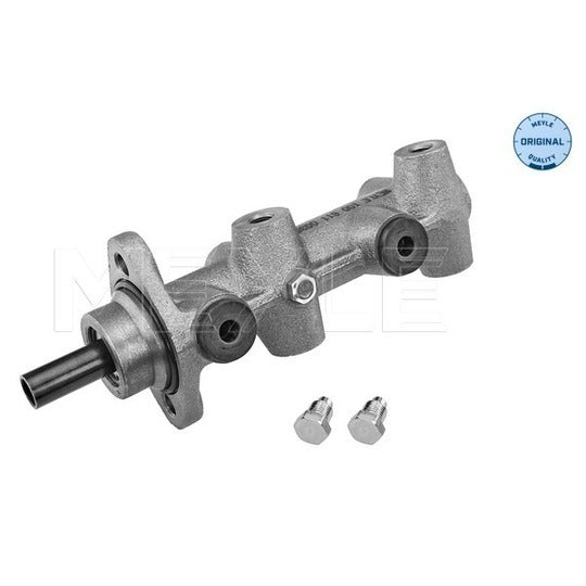 100 611 0035 Brake Master Cylinder