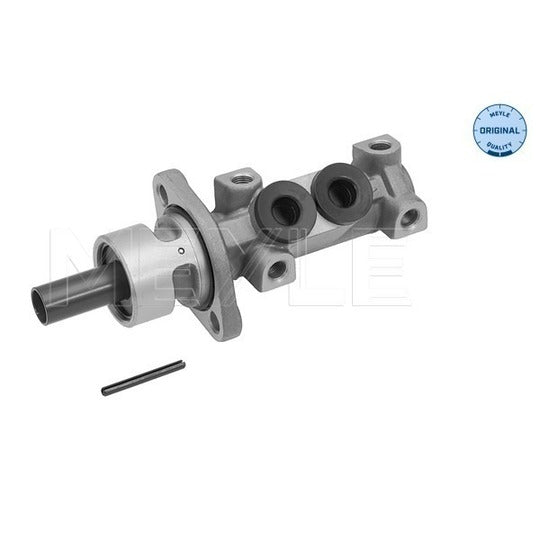 100 611 0048 Brake Master Cylinder