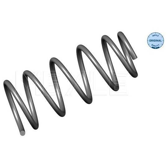 100 639 0002 Coil Spring