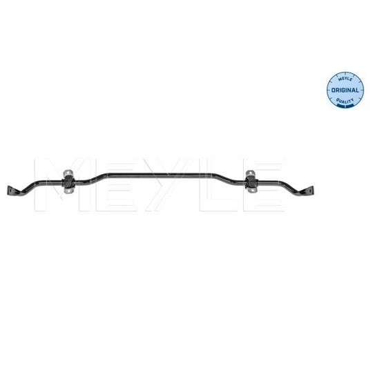 100 653 0011 Sway Bar, suspension