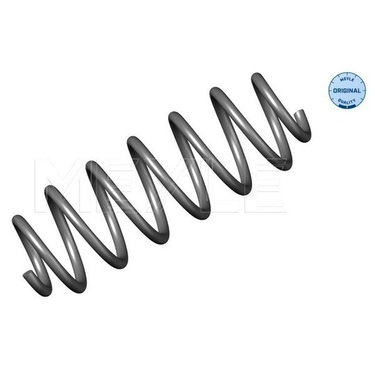 100 739 0002 Coil Spring