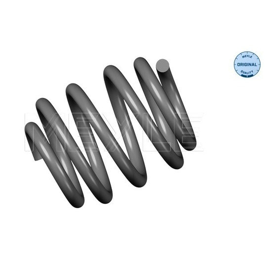 100 739 0003 Coil Spring
