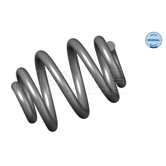 100 739 0005 Coil Spring