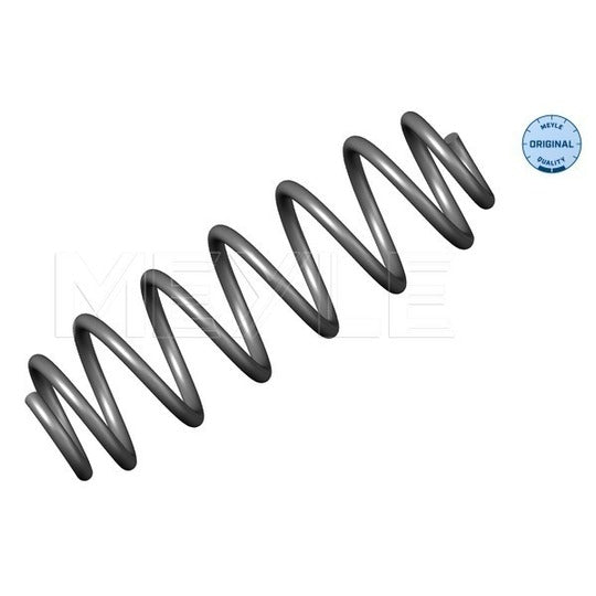 100 739 0006 Coil Spring