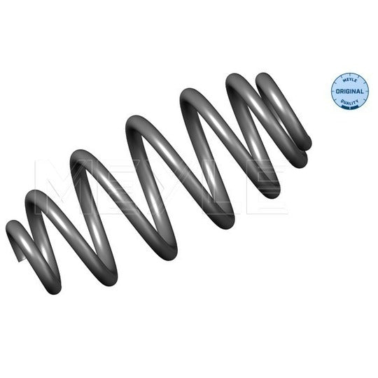 100 739 0009 Coil Spring