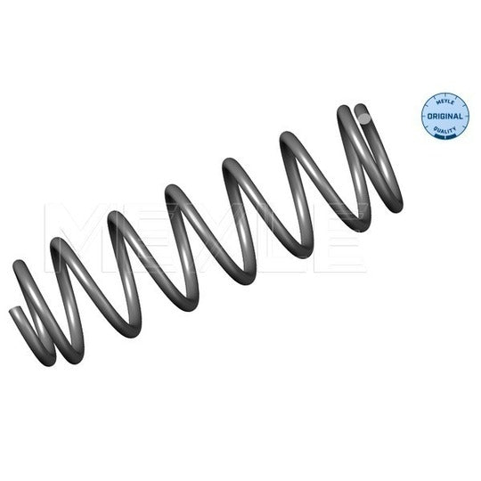 100 739 0011 Coil Spring