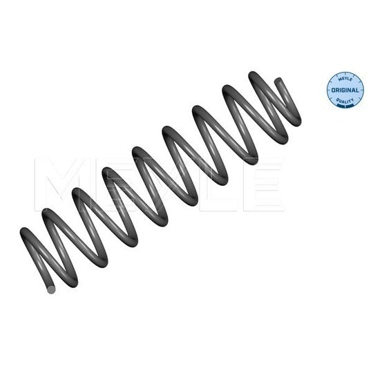 100 739 0021 Coil Spring