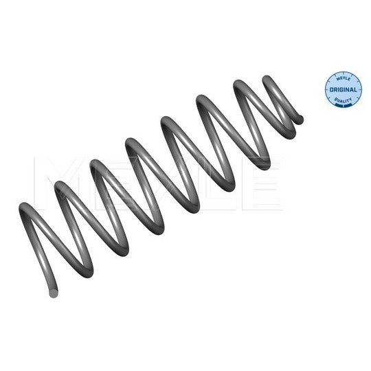 100 739 0030 Coil Spring