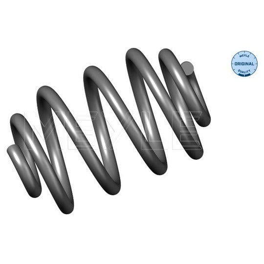 100 739 0034 Coil Spring