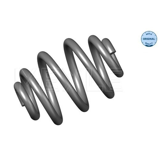 100 739 0035 Coil Spring