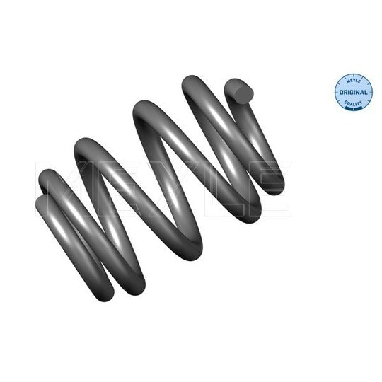 100 739 0043 Coil Spring
