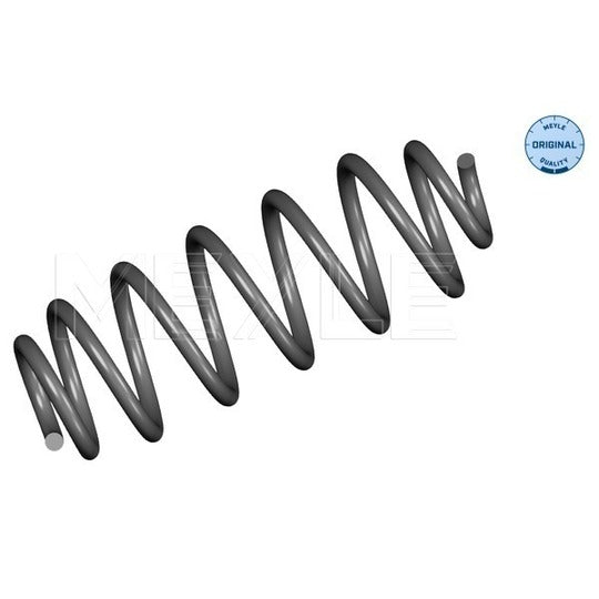 100 739 0044 Coil Spring