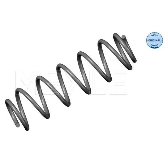 100 739 0049 Coil Spring
