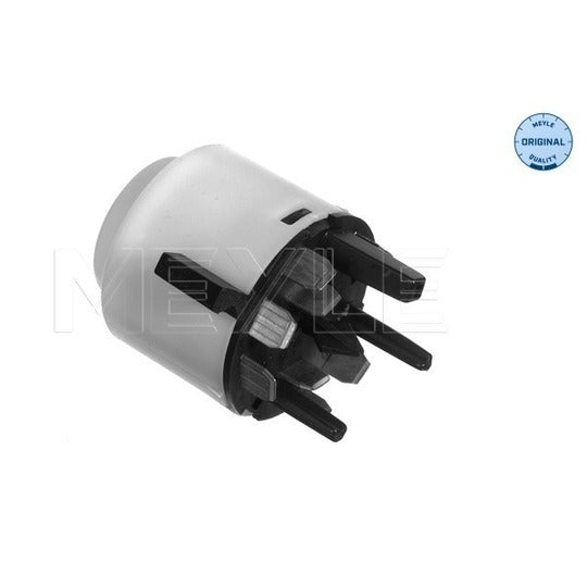 100 905 0020 Ignition-/Starter Switch